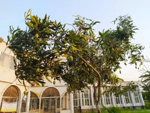 BSMRSTU Central Mosque