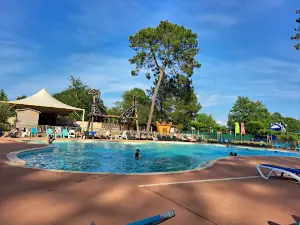 Camping Capfun Pomme de Pin