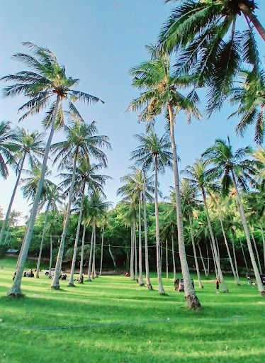 Pantai Klui