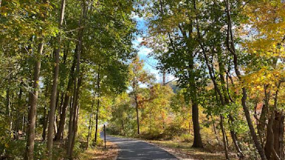 Gunpowder Falls State Park Hammerman Area