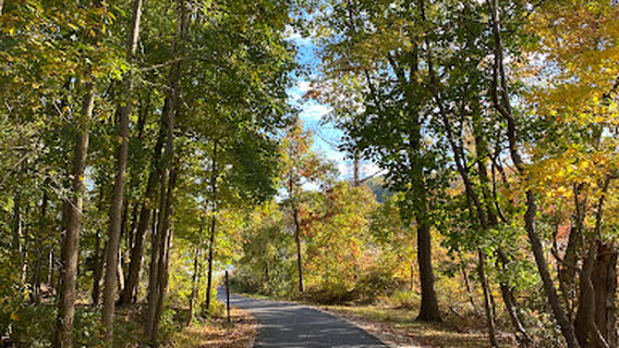 Gunpowder Falls State Park Hammerman Area