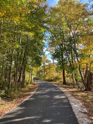 Gunpowder Falls State Park Hammerman Area