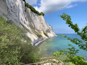 Klintebjerg - Klint