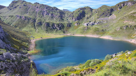 Sio Ecoturismo. Rutas de avistamiento con guía: oso pardo, rutas interpretativas, berrea del ciervo