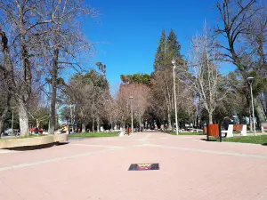 Plaza De Pinto