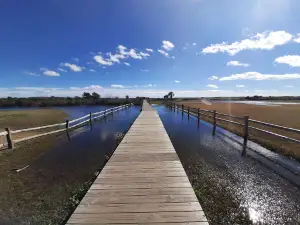 Sullivan's Island Beach