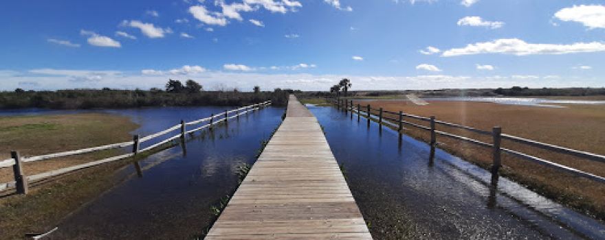 Sullivan's Island Beach
