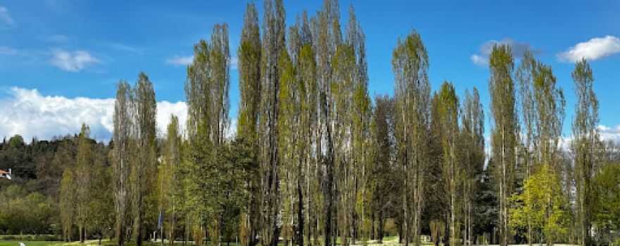 Golf Club Vicenza