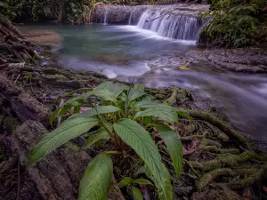 Air Terjun Ubadari