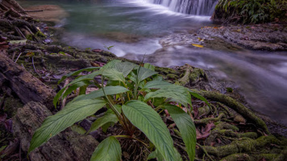 Air Terjun Ubadari