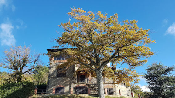 Punto Panoramico Valdarno