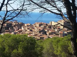 Panoramica