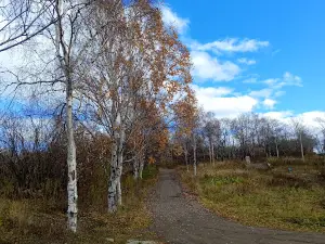 Sovetskaya Gavan