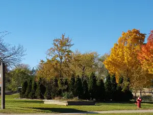 Memorial Park