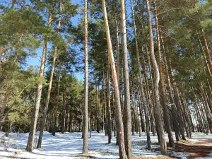 Ryba Park