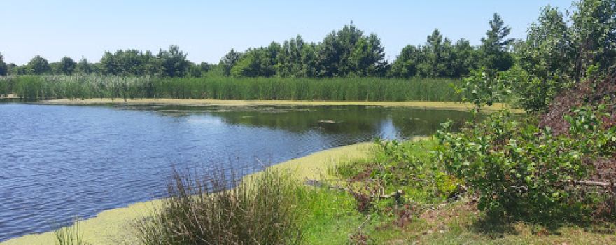 Grigoleti Lake