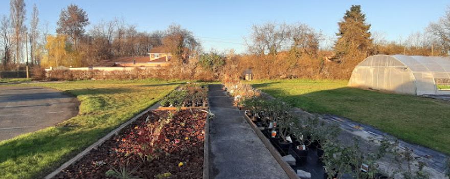 St Aygue Horticulteur