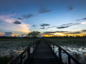 Jugibari Beelpaar Tourism Area