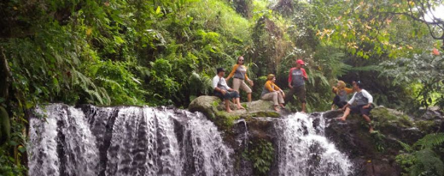 Mata air Treng Wilis