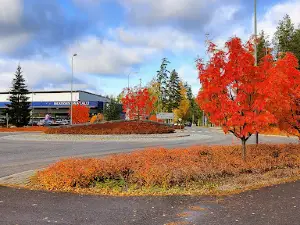 Imatra ice rink