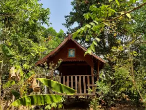 ศูนย์กสิกรรมธรรมชาติสุรินทร์ (โคก หนอง นา สุรินทร์โมเดล)