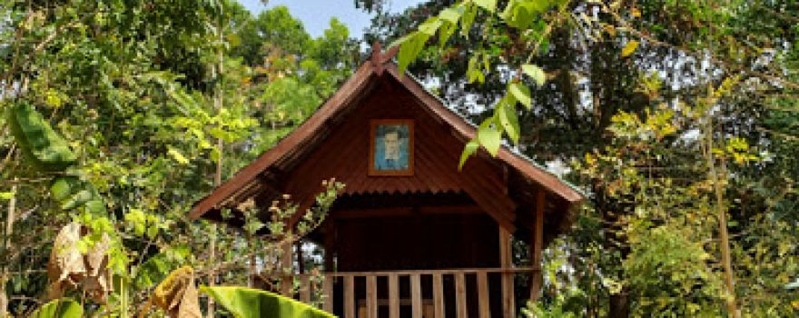 ศูนย์กสิกรรมธรรมชาติสุรินทร์ (โคก หนอง นา สุรินทร์โมเดล)