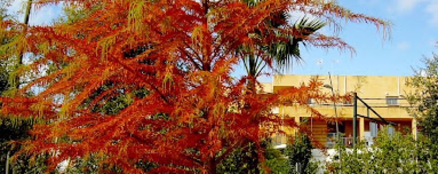 Parque Periurbano
