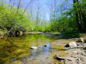 Bill Yeck Park