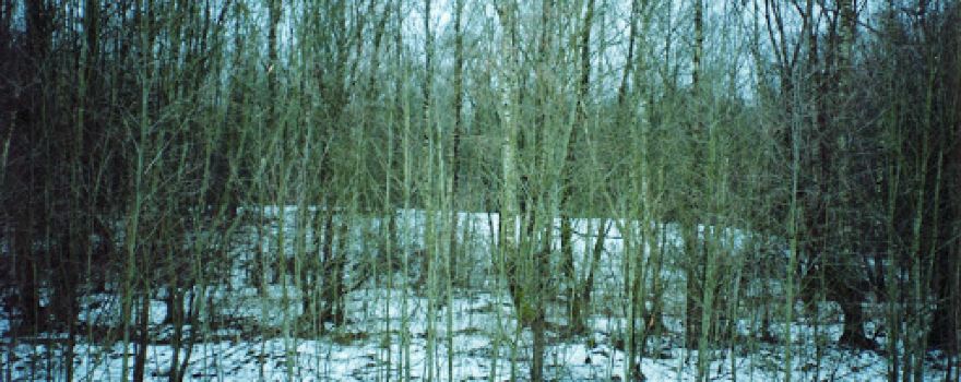 Klausučių piliakalnis