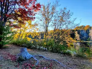 Mississagi River Picnic Ground