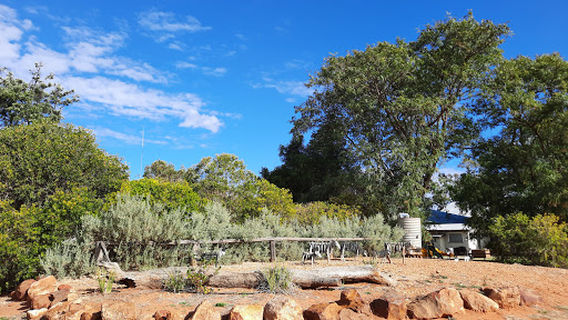 Morven Historical Museum