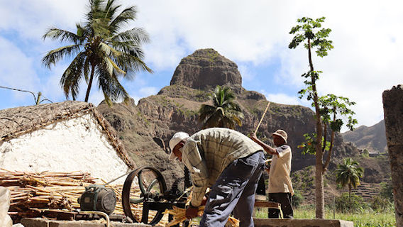 Trapiche Dona Nininha