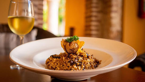 Hodelpa Nicolás de Ovando