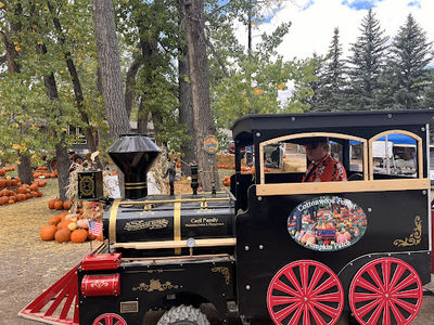 Cottonwood Forest Pumpkin Patch