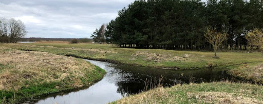 Aussichtsturm am Ahlbecker Seegrund