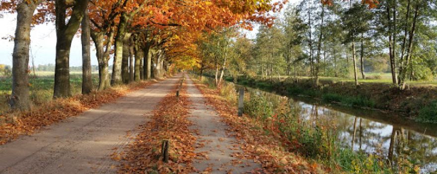 Camping Berkenven B.V.