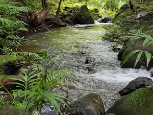 Cachoeira Paraíso