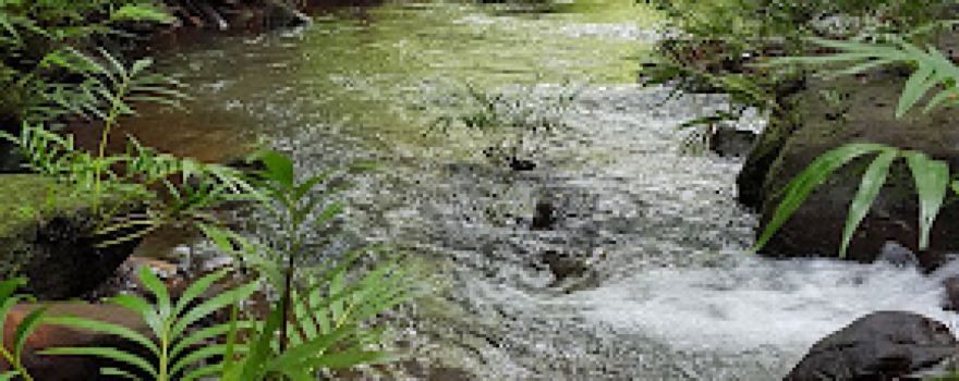 Cachoeira Paraíso