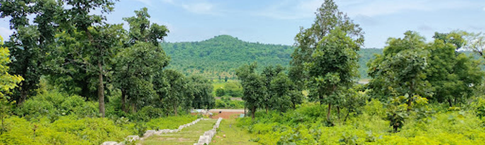 travel