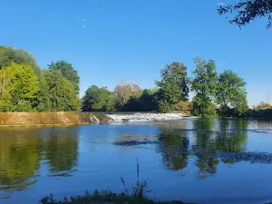 Армансон