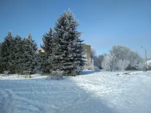 Memorialʹnyy Park