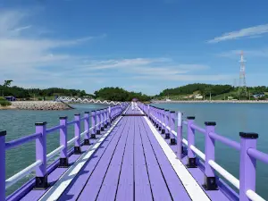 Sinan Purple Island