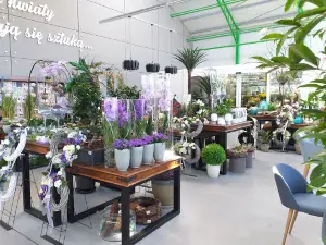 Green House Poland