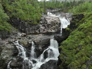 Foss