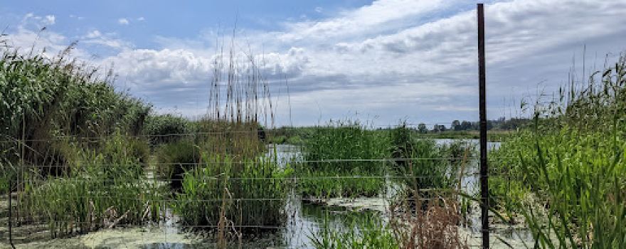 Abe Bailey Nature Reserve