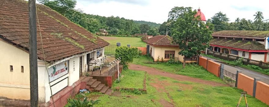 Govt. School Ground Ladfem
