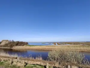 Fugletårnet Vejlerne