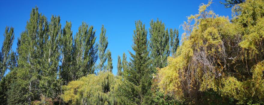 Javier Cortés Park