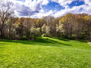 Towner's Woods
