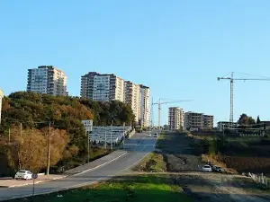 Kent Ormanı Piknik Alanı